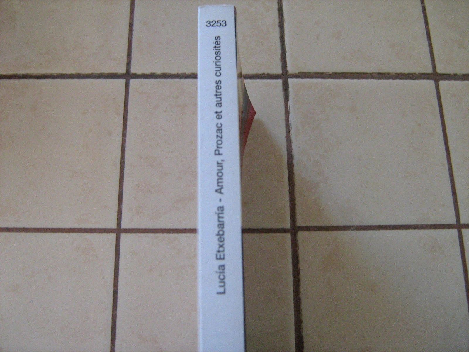 Lucia Etxebarria amor, prozac y otras curiosidades – photo 2